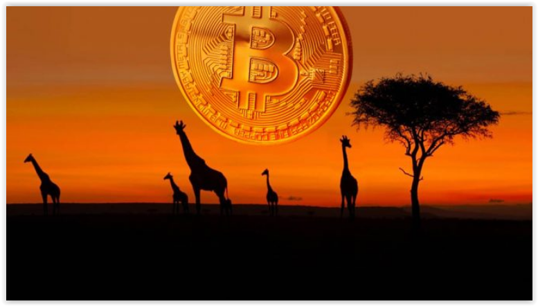 More Use of Blockchain Technology Could Bring Benefits to Africa