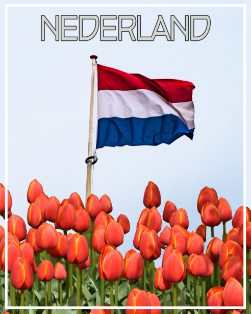 Kookworkshops en Culinaire Events in Apeldoorn Proef de Sfeer van de Keuken
