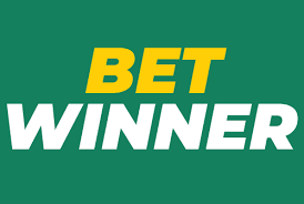 BetWinner Player Reviews Insights and Experiences 410163629