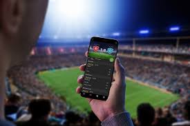 Betwinner Review Your Guide to Betting Success
