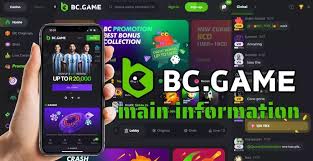 Responsible Gambling at BC.Game Promoting Safe Play Responsible Gambling at BC.Game Promoting Safe Play