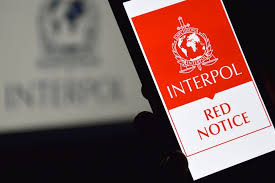 Understanding the Process of Interpol Red Notice Removal 1345160176