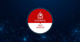 Understanding the Process of Interpol Red Notice Removal 1345160176
